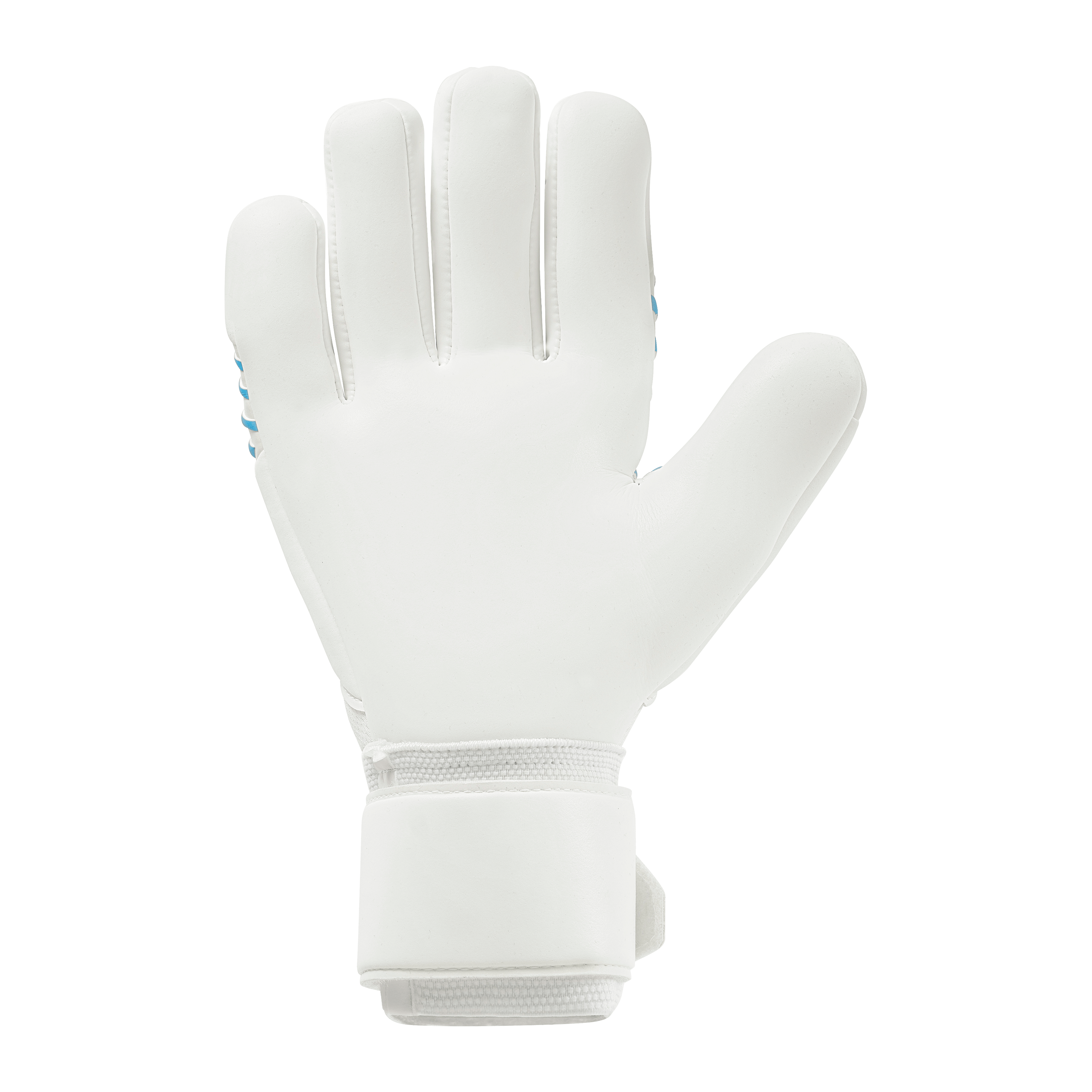 FM Cybertec Supersoft HN