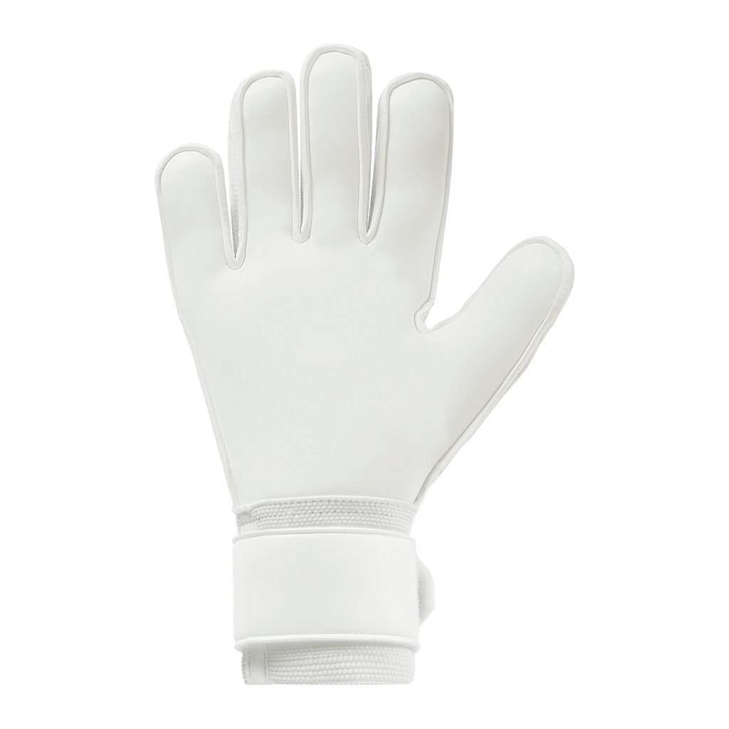 FM Cybertec Soft Pro