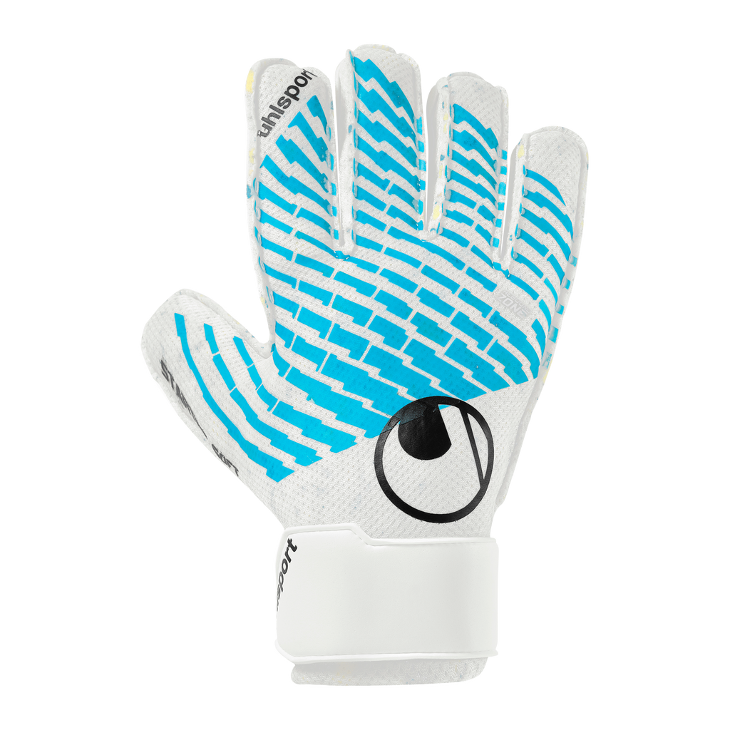 FM Cybertec Starter Soft