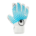 FM Cybertec Starter Soft