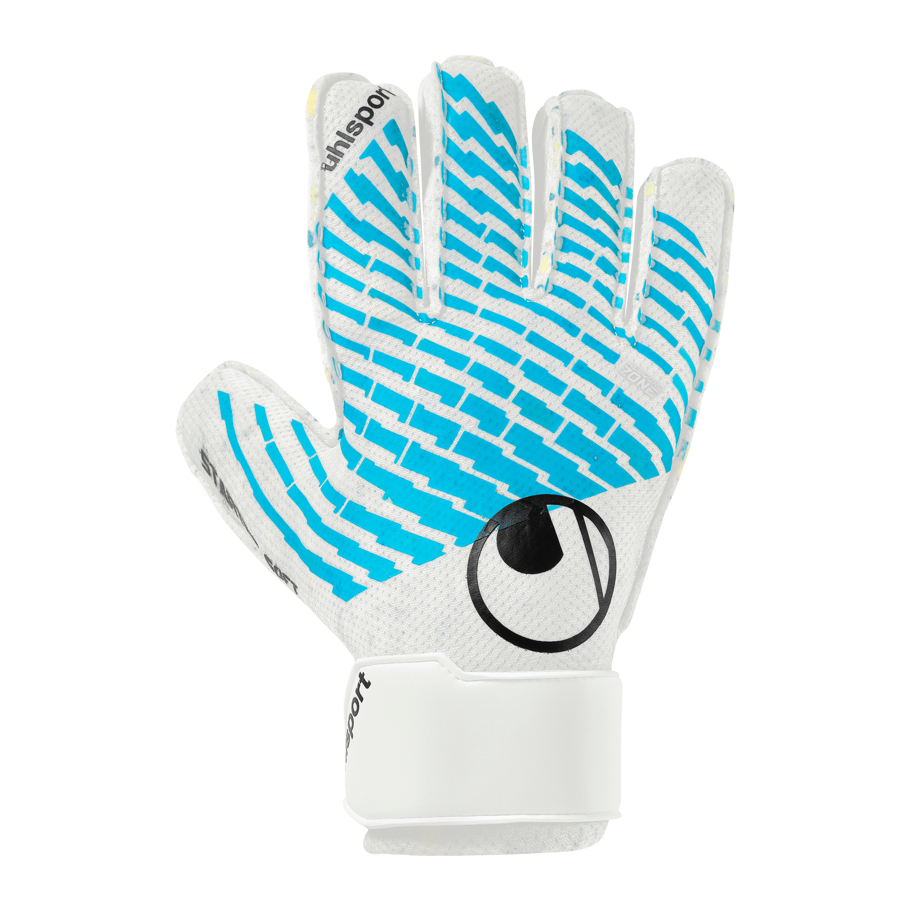 FM Cybertec Starter Soft