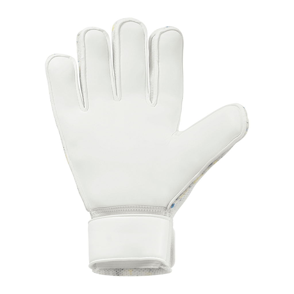FM Cybertec Starter Soft