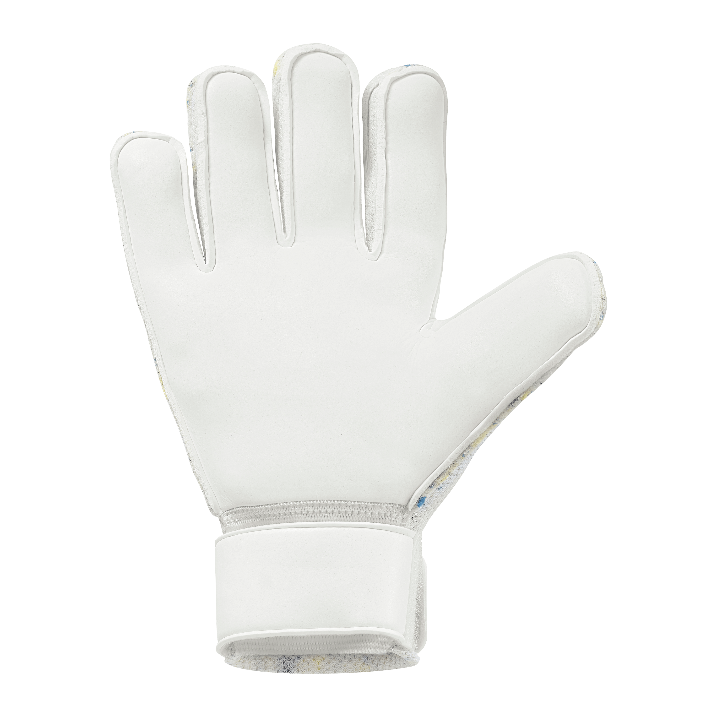 FM Cybertec Starter Soft