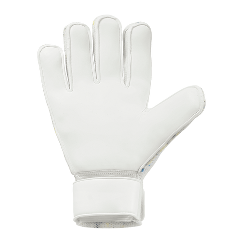 FM Cybertec Starter Soft