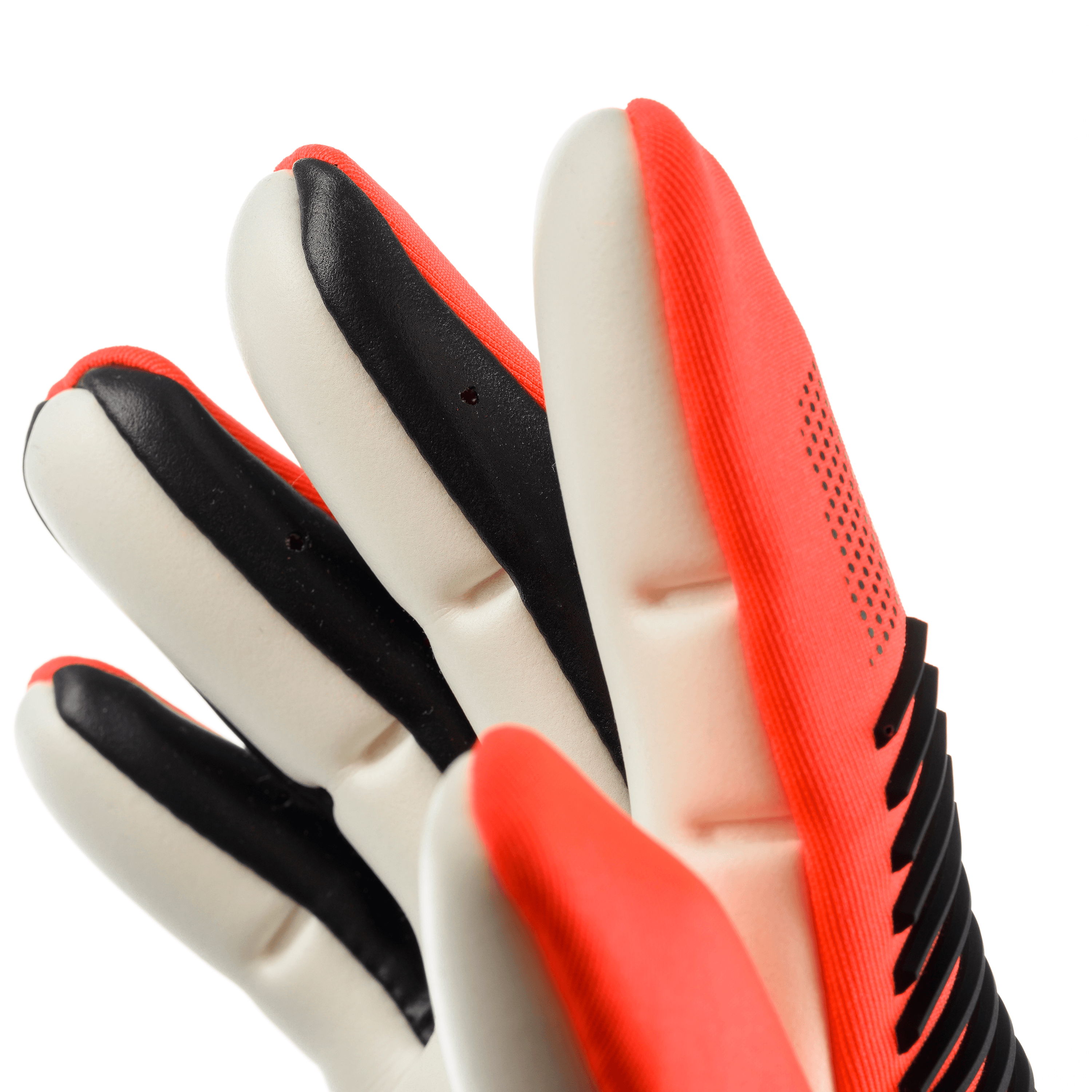 FM ZNE Absolutgrip HN Fit