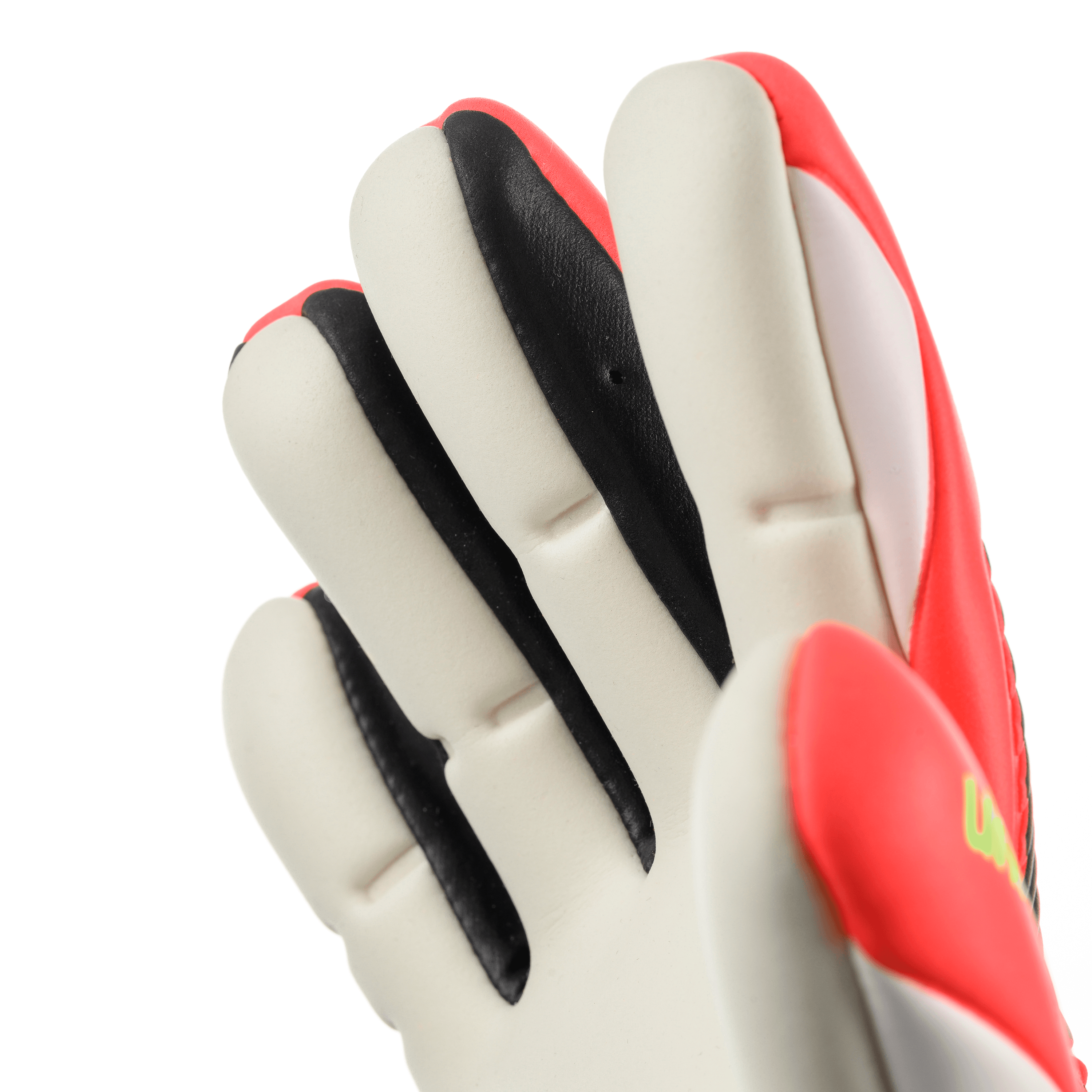 FM ZNE Absolutgrip HN