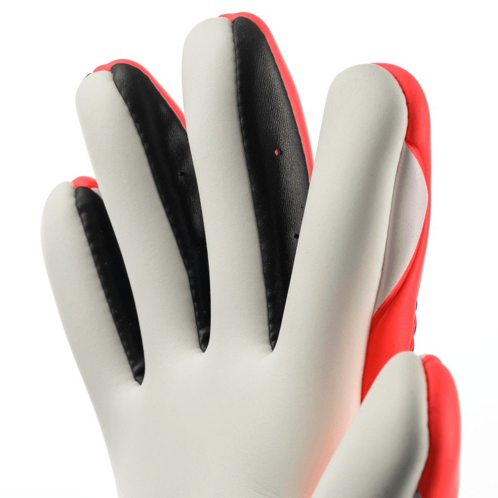 FM ZNE Supersoft HN